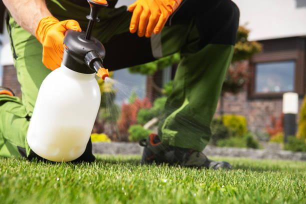 Best Pest Removal Services  in Riverdale, CA