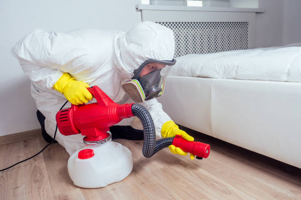 Best Mosquito Control Services  in Riverdale, CA