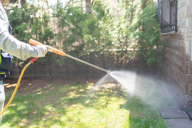 Best Pest Control Near Me  in Riverdale, CA