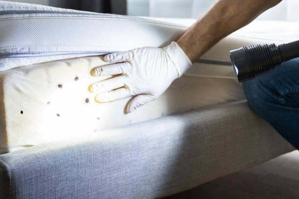 Best Insect Control  in Riverdale, CA