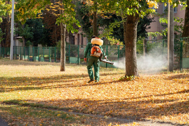 Bird Control in Riverdale, CA