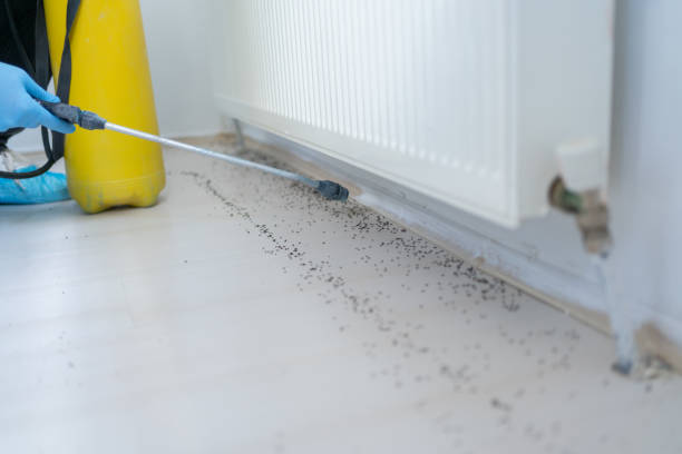 Wildlife Control Services in Riverdale, CA