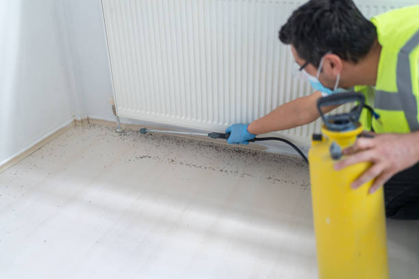 Best Wasp Removal Services  in Riverdale, CA